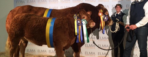 Champion han och hondjur ELMIA 2016