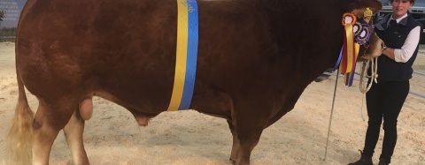 Elmia 2016