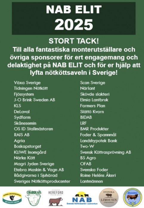 NAB:s Elitauktion på Elmia 2025