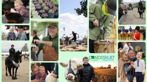 Sommarträff 2026 i Herning