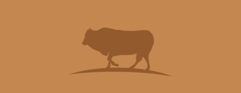 Beställning av Limousintröjor